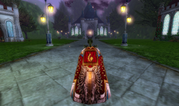 IMG_2855.png
