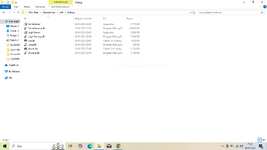 files.PNG