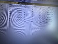 IMG_3138.jpeg